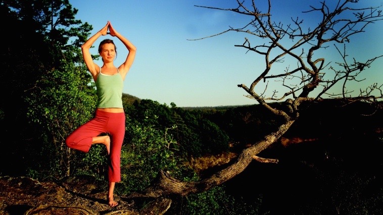 Yoga Pose at Micah's Point, Turtle Cove Spa, Spas of America 1494 (2) Turtle Cove Spa, Spas of America