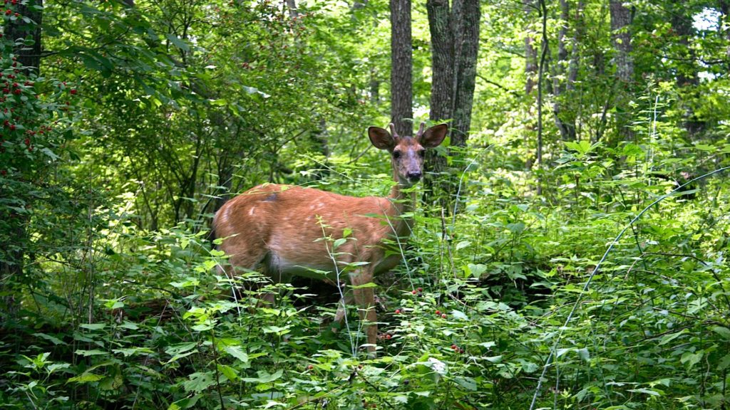 October Hiking, Deerfield Health Retreat & Spa, Spas of America