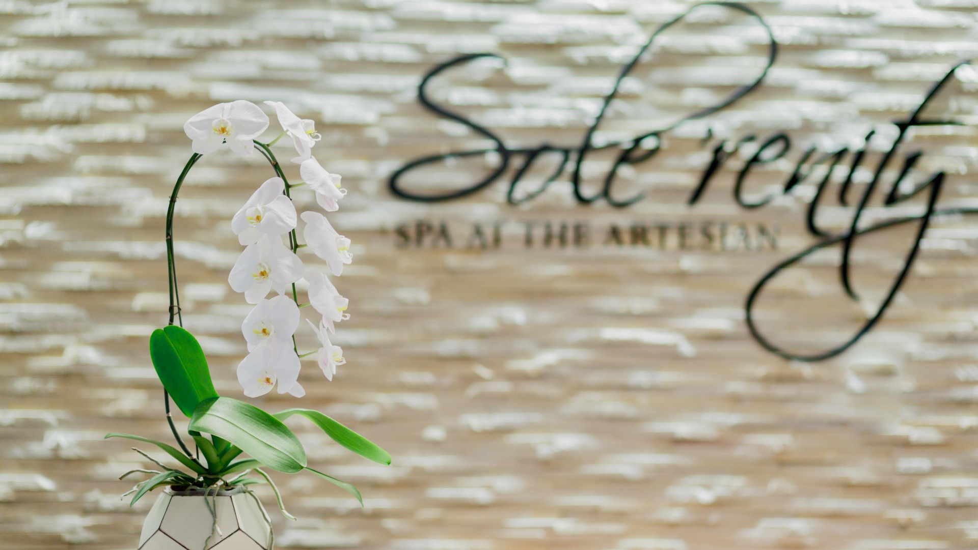 Sole’renity Spa at The Artesian Hotel, Spas of America Sole’renity Spa at The Artesian Hotel, Spas of America