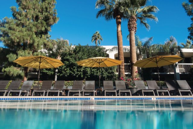 Palm Mountain Resort & Spa