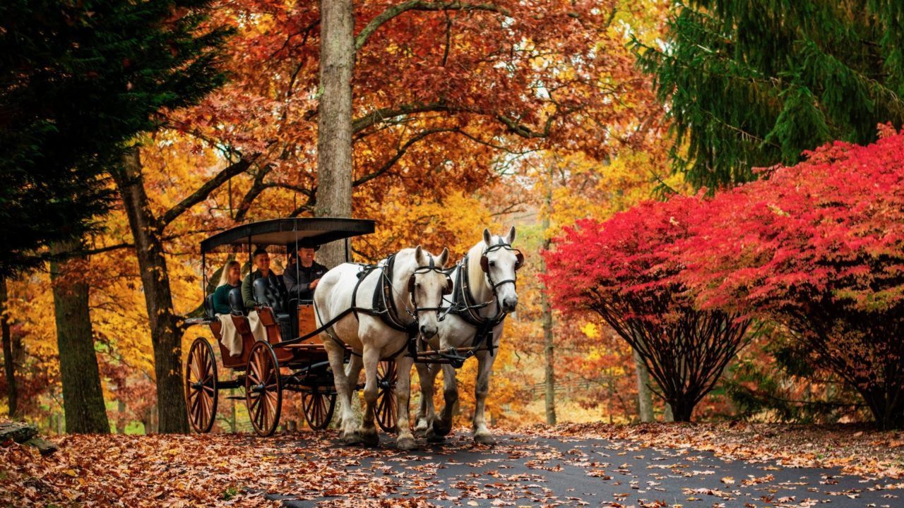 Carriage Ride Fall, The Spa at Omni Homestead Resort, Spas of America