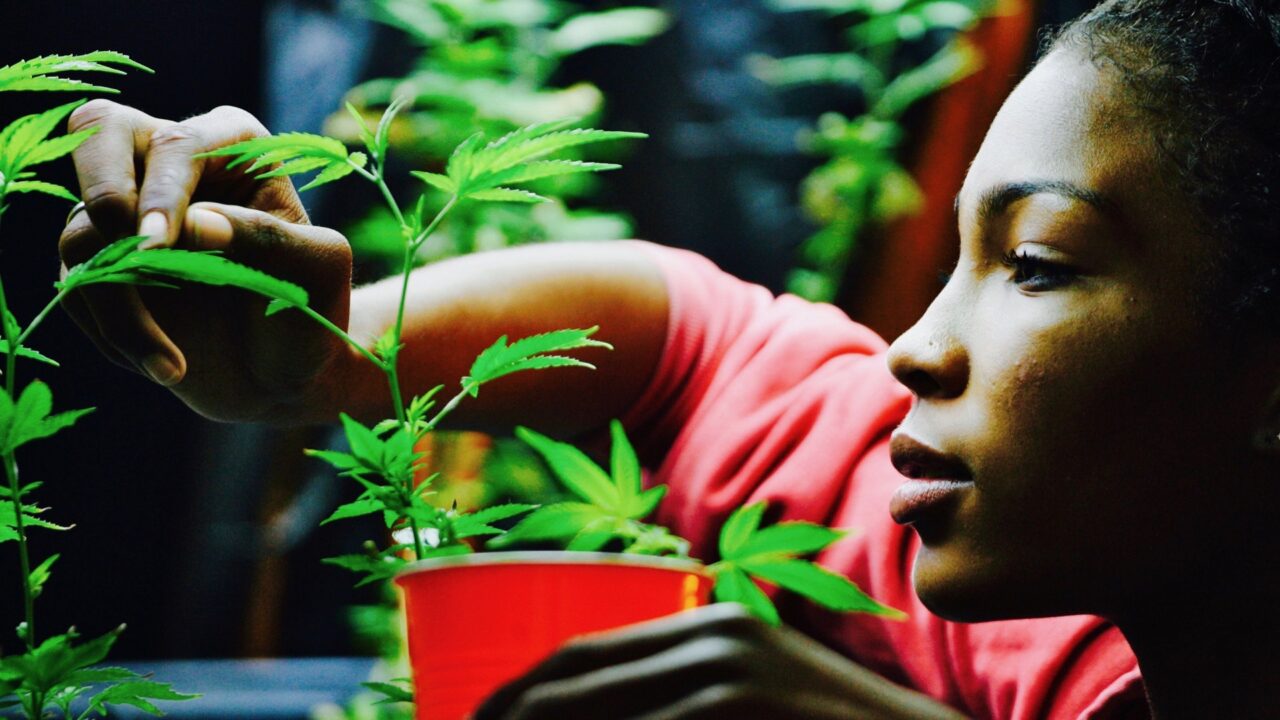 Medical Cannabis and Health Spas