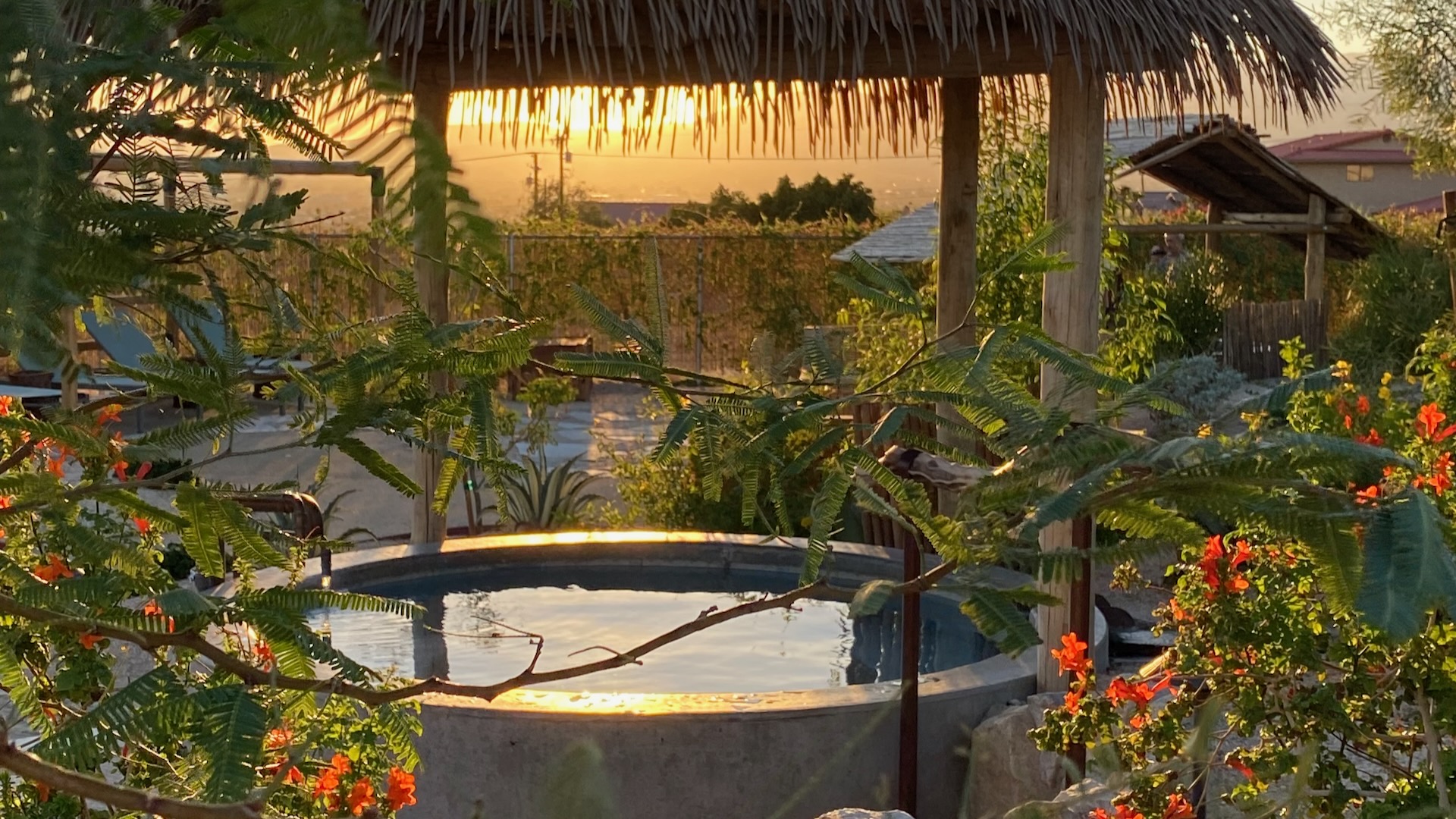 Azure Palm Hot Springs, Spas of America Azure Palm Hot Springs, Spas of America