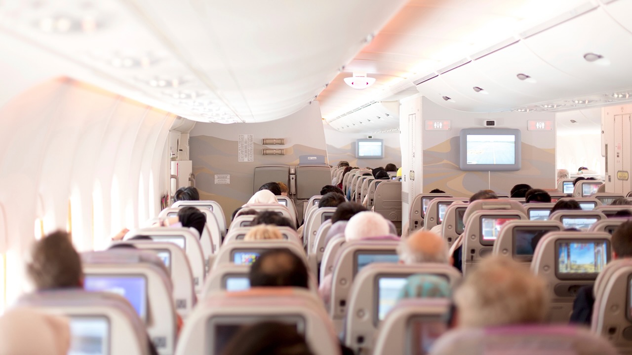 Choosing the Best Airline, A Comparative Guide for Discerning Travelers, Cabin