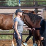 GSN Horses Summit, Spas of America