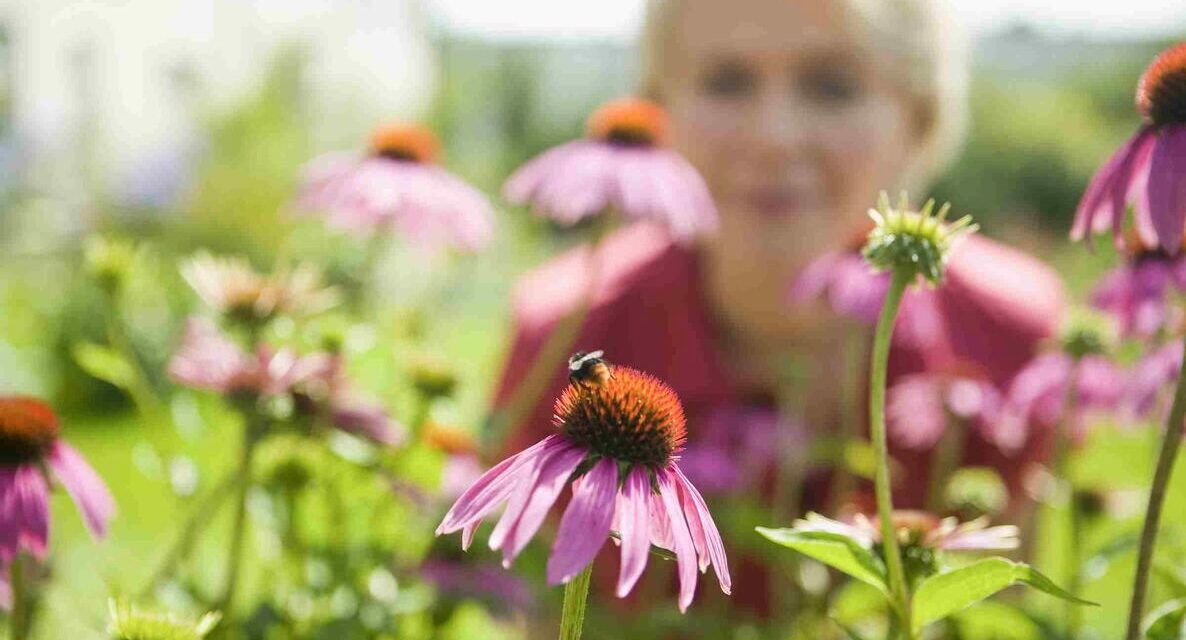 https://www.spasofamerica.com/wp-content/uploads/2026/10/pollinator-garden-shutterstock_1590319399-1186x640.jpeg