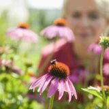How to Create a Wellness Sanctuary While Protecting Native Pollinators: A Step-by-Step Guide