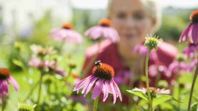 How to Create a Wellness Sanctuary While Protecting Native Pollinators: A Step-by-Step Guide